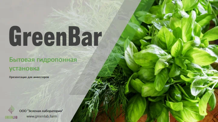 Первый слайд презентации стартапа Green Bar